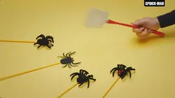 Visuel de Tout est vrai (ou presque)