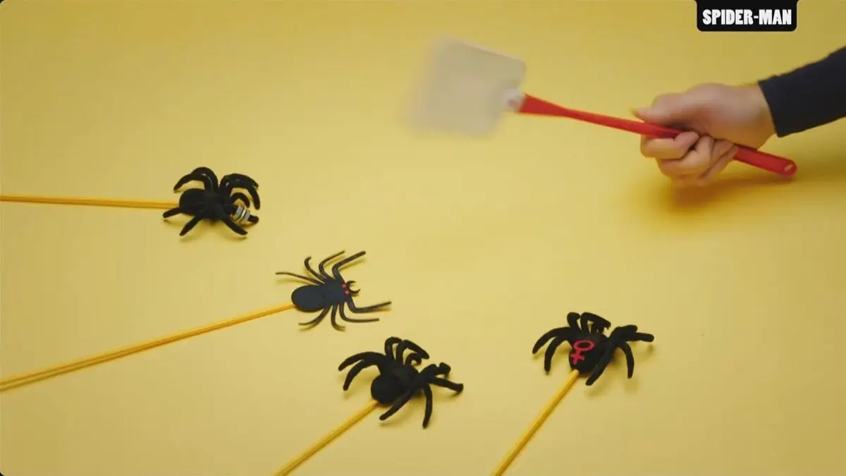 Visuel de Tout est vrai (ou presque) S05E36 Nicolas Cage
