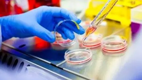 Tout l'accuse E08 Affaire Nelly Haderer : 30 ans de mystère