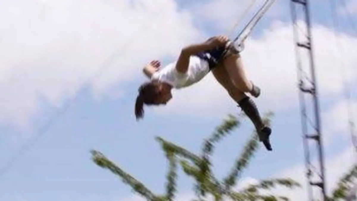 Tout le Baz'Art Petri Dish