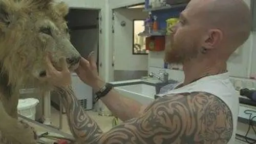 Tout s'explique Animaux : les métiers extraordinaires