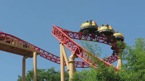 Tout s'explique Les parcs animaliers