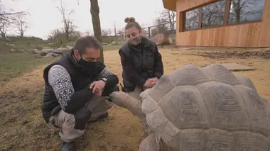 Etre soigneur animalier