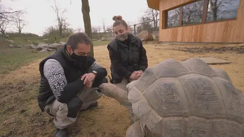 Tout s'explique Etre soigneur animalier