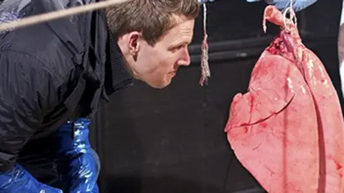 Tout savoir sur... tout ! E03 Mission spatiale et fluides corporels