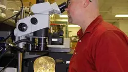 Visuel de Toute la vérité sur : Le crâne de cristal