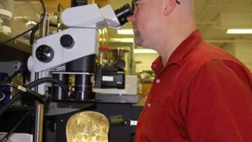 Toute la vérité sur : Le crâne de cristal