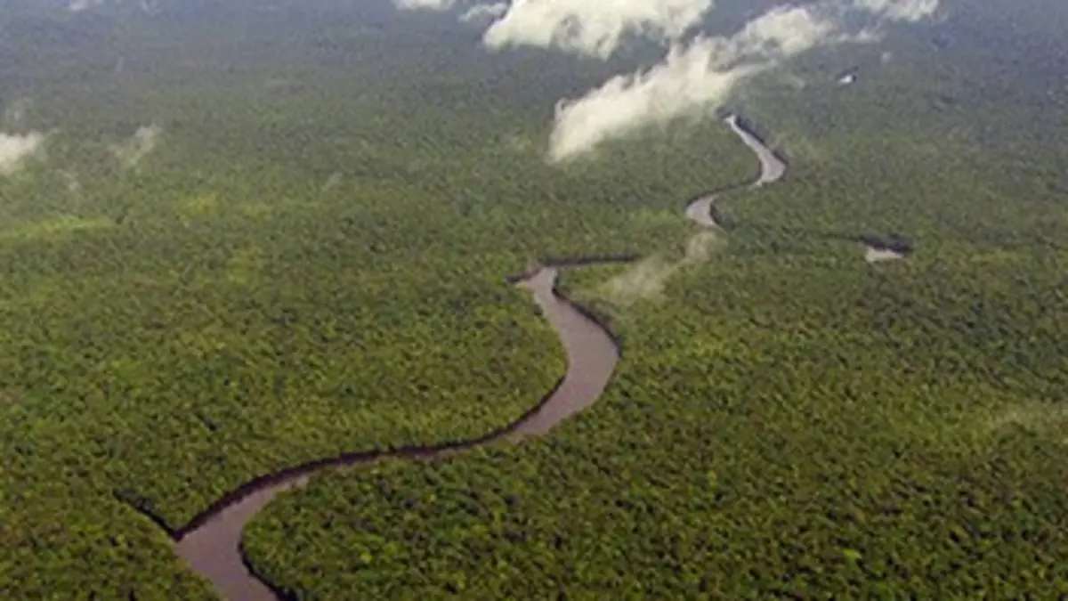 Toutes les âmes de la Guyane