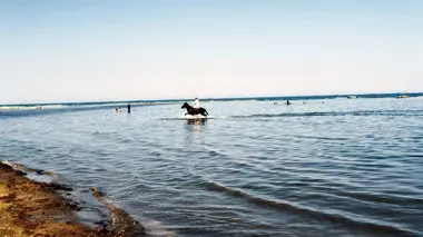 Azerbaïdjan : Climat adorable, droits de l'homme méprisables