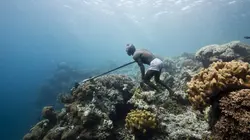 Traditions du triangle de corail