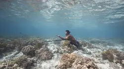 Traditions du triangle de corail