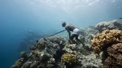 Traditions du triangle de corail