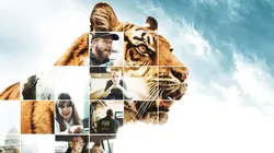 Trafic de félins : la vérité derrière l'écran