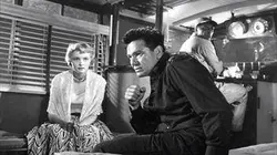 Visuel de Trafic en haute mer