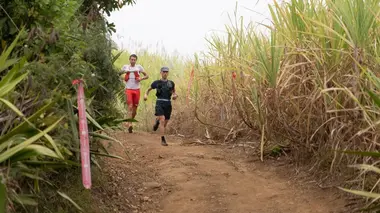 Trail Grand Raid de la Réunion