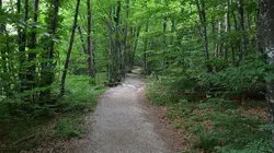 Visuel de Trail Monte Rosa Trail 2026