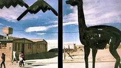 Traits d'union Argentine, les terres du cheval papillon