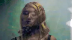 Transfariana, un monstruo grande