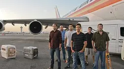 Transfert d'animaux E01