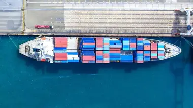 Les géants des mers