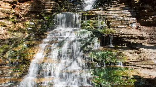 Traqueurs de monstres : l'enquête continue L'oiseau-tonnerre de Pennsylvanie