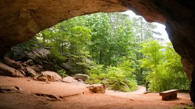 Le dragon de l'Arkansas