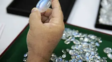 Démêler le vrai du faux