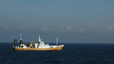 Le Black Swan, l'or et la guerre du butin