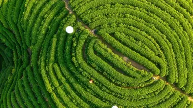 Le courant de la vie