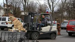 Sur Discovery Channel à 20h45 : Trésors à l'abandon