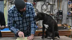 Trésors à l'abandon Carpenters Hall