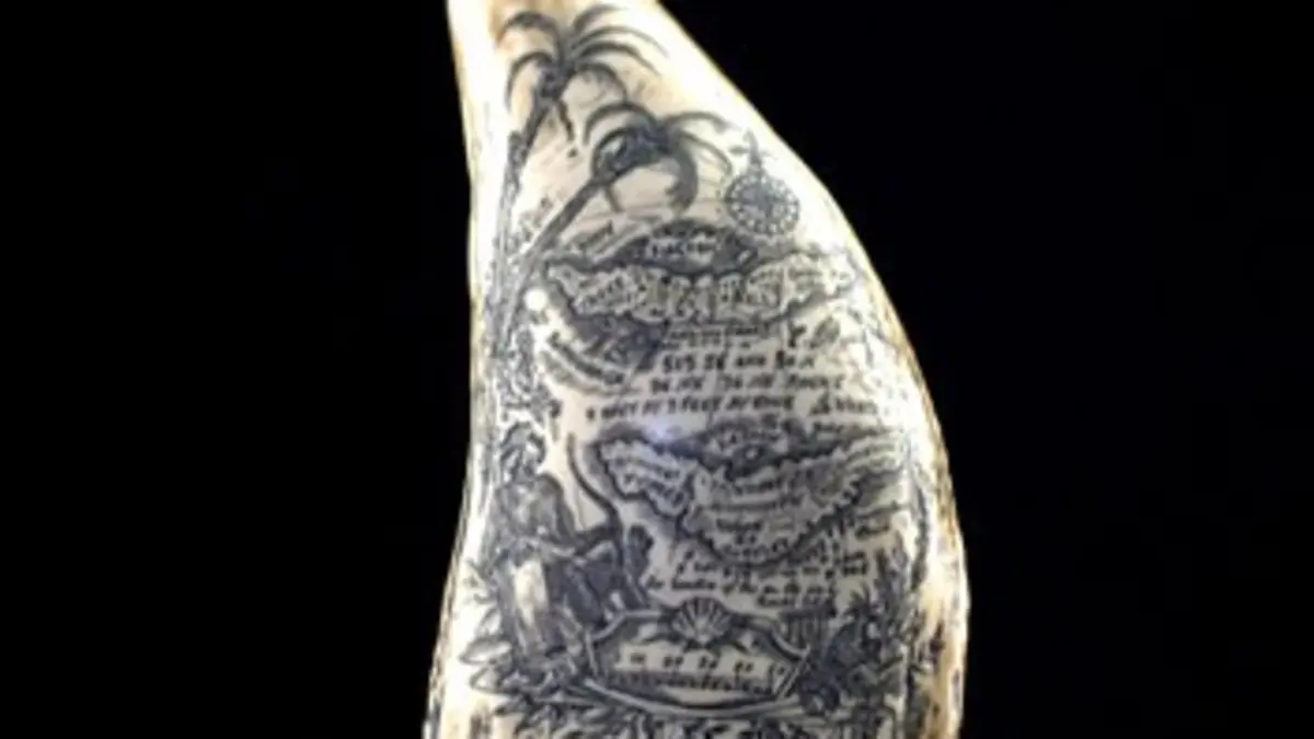 Trésors d'Amérique