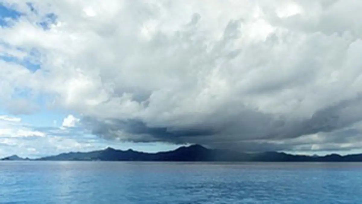 Trésors de mer Mayotte