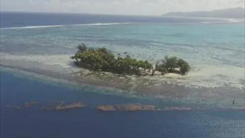 Trésors de Tahiti E02 Tiaré, la fleur des fleurs