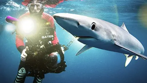 Épisodes de Trésors des mers d'Irlande