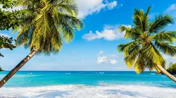 Trésors des Petites Antilles