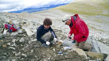 Trésors sous la glace