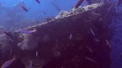 Visuel de Trésors sous les mers