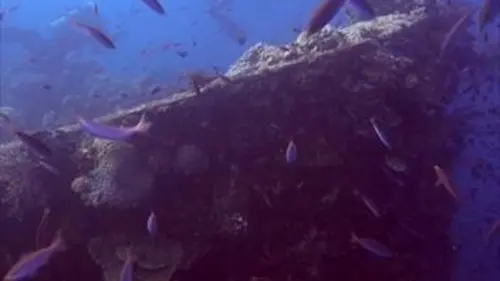 Trésors sous les mers S01E03 Navires de guerre immergés