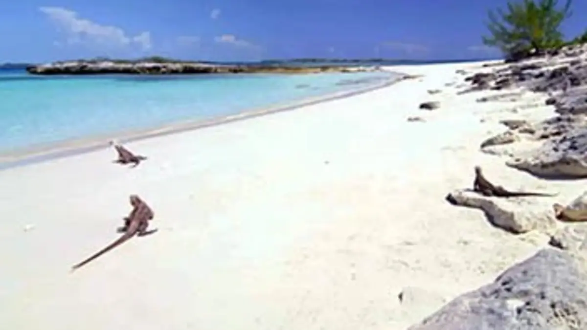 Trésors vus du ciel S01E04 Les Bahamas