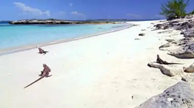 Les Bahamas