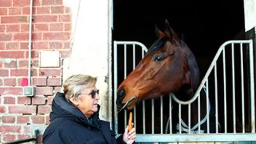 Trêve, une histoire de famille