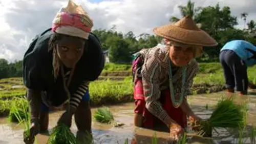Ô bout de l'inconnu E10 En Thaïlande