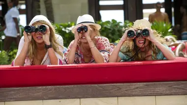 The Other Woman (2014)