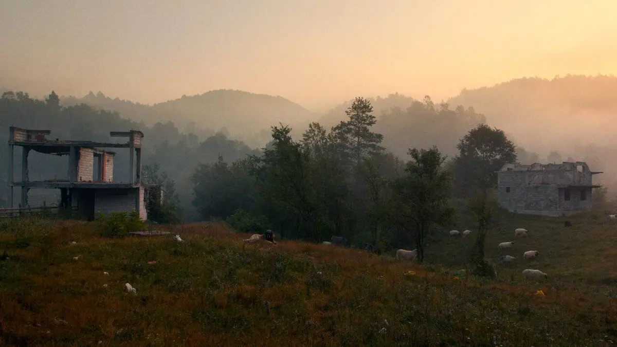 Trois frères, un père et le djihad