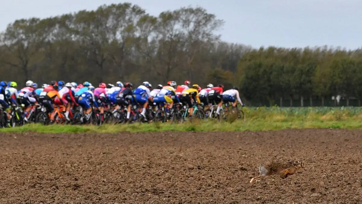 Trois Jours de Bruges-La Panne Cyclisme UCI World Tour 2021