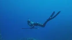 Visuel de Trois nuances de bleu