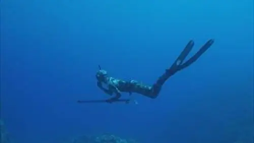 Trois nuances de bleu E03 Pacifique, l'océan en héritage