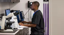 Trois vétos à Houston  Cochon en furie et déménagement