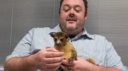 Trois vétos à Houston  Le rêve californien